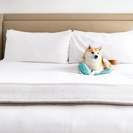 Hotel Kimpton - St Honoré Paris, An Ihg