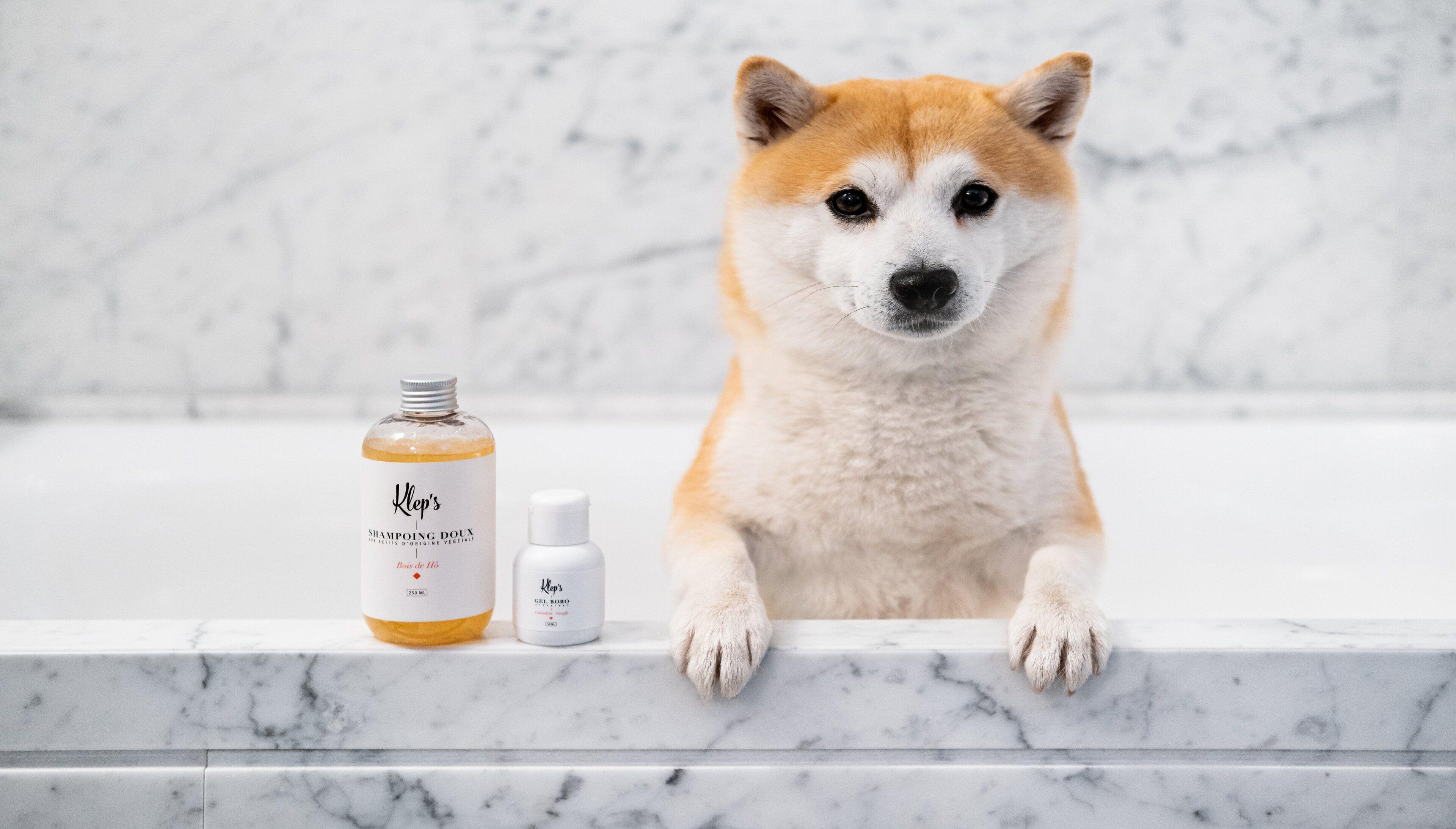 Kimpton - St Honore By Ihg